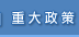 重大政策