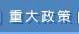 重大政策