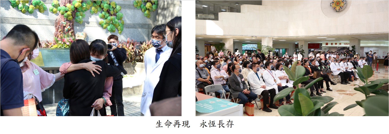 生命再現  永恆長存圖