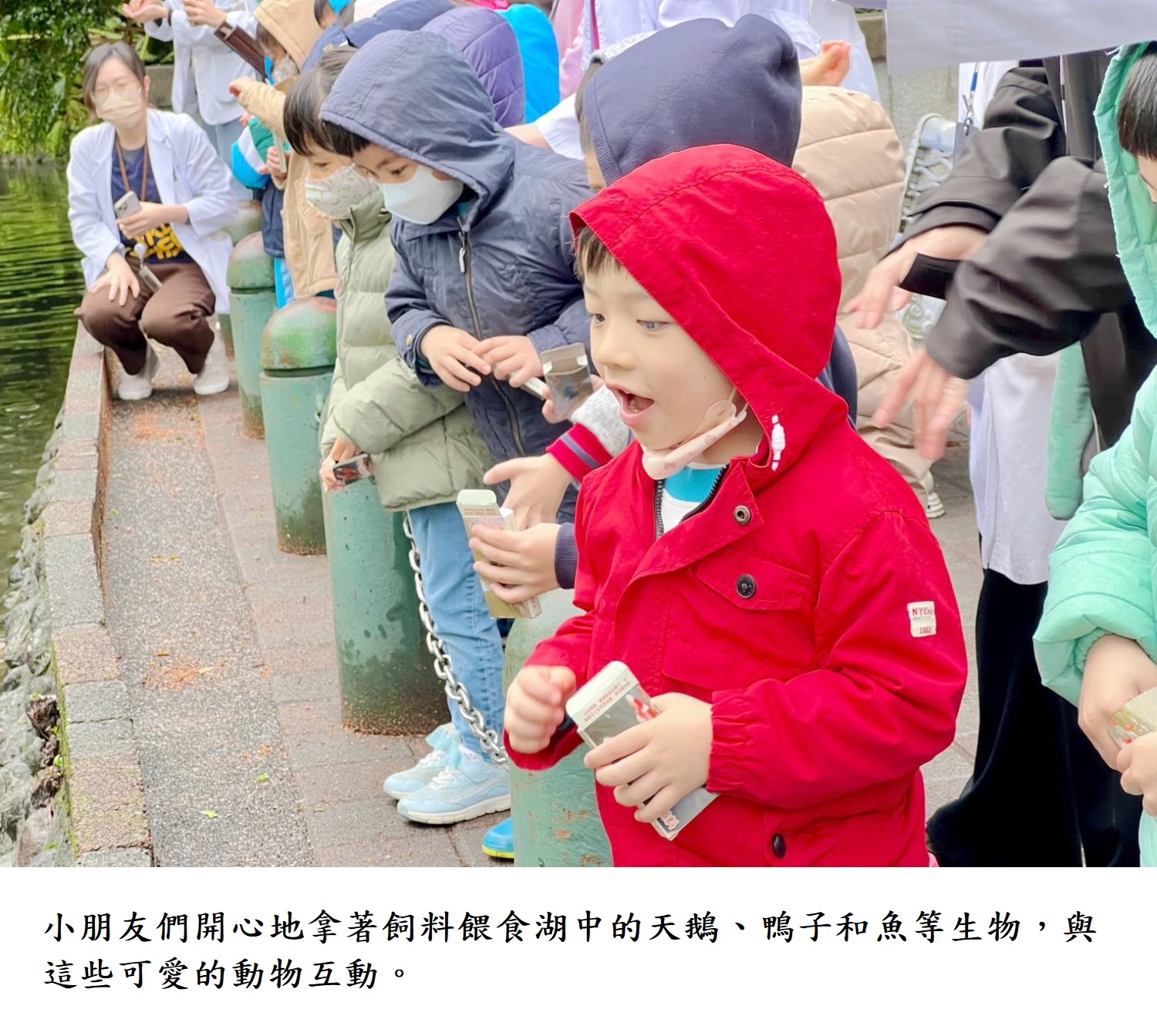 小朋友們開心地拿著飼料餵食湖中的天鵝、鴨子和魚等生物,與這些可愛的動物互動