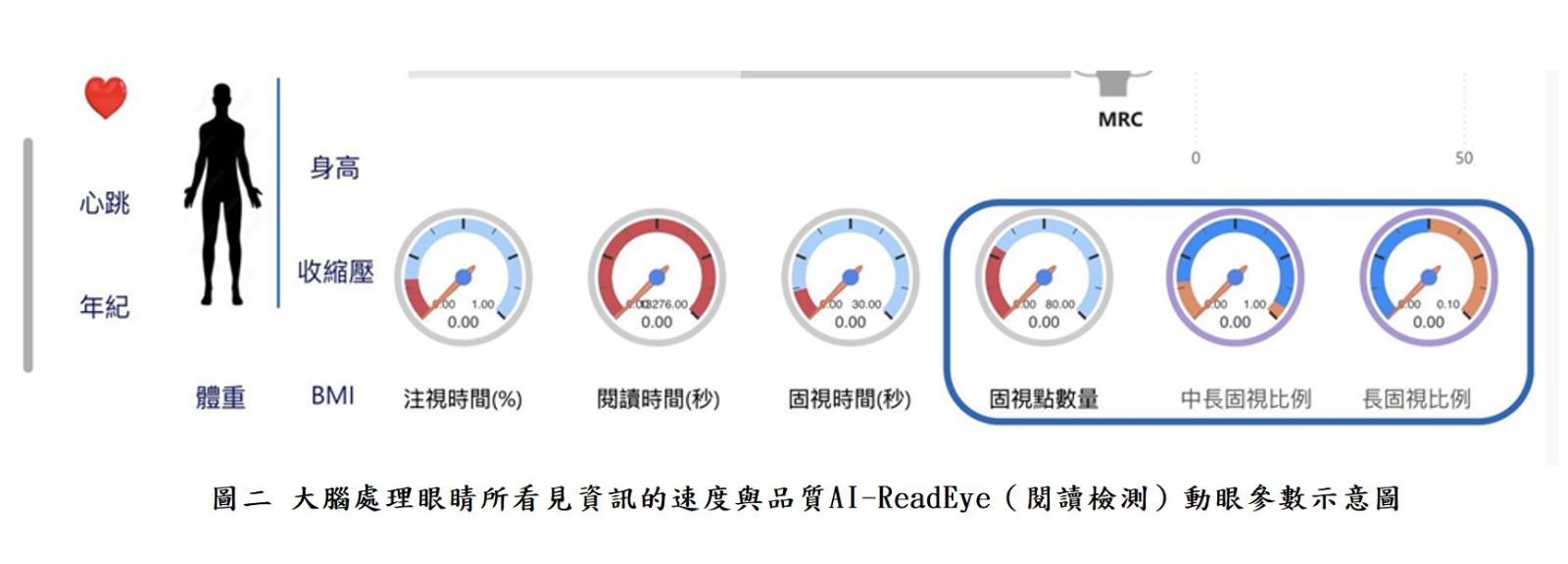 圖二 大腦處理眼睛所看見資訊的速度與品質AI-ReadEye（閱讀檢測）動眼參數示意圖