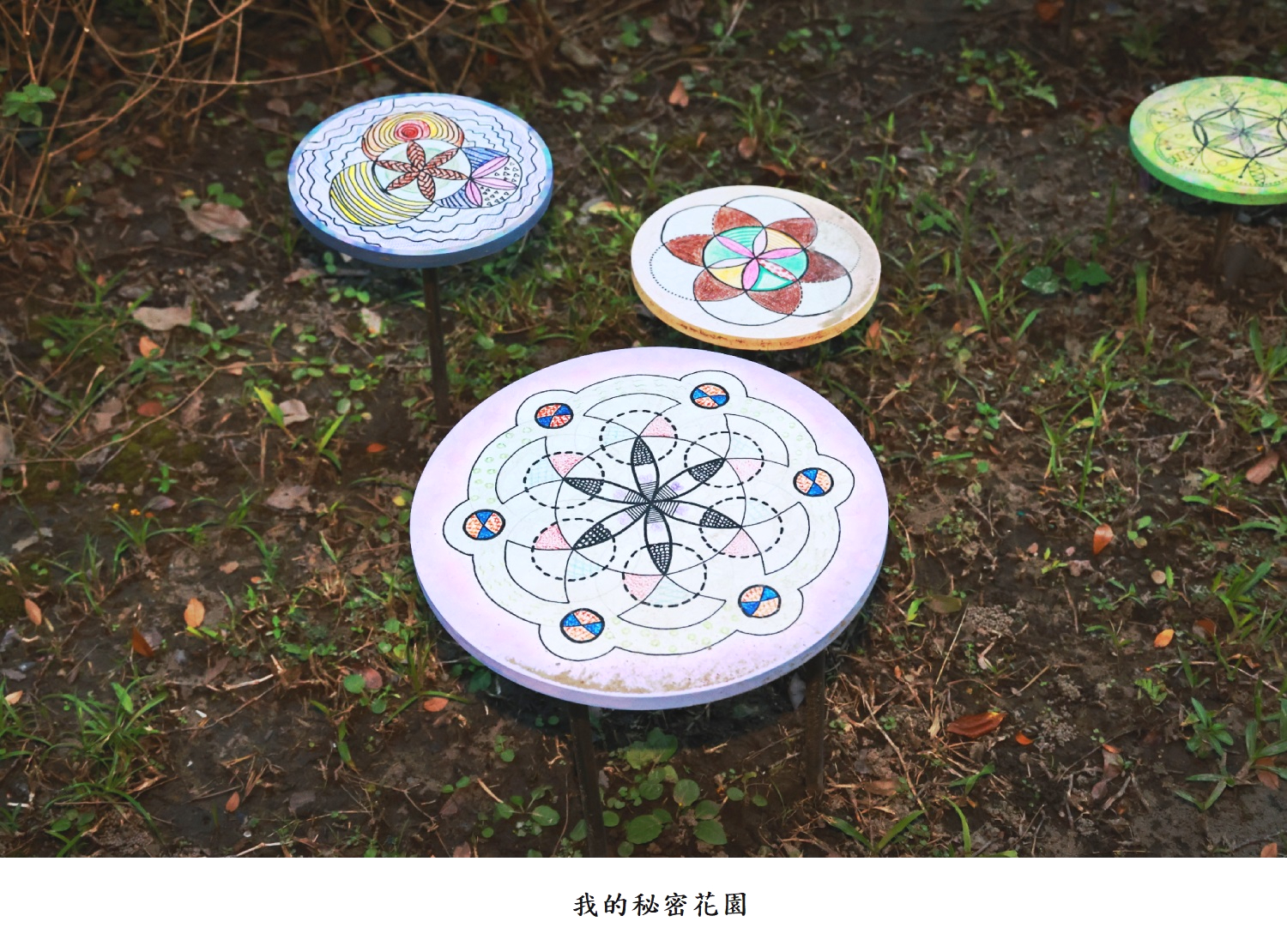 我的秘密花園