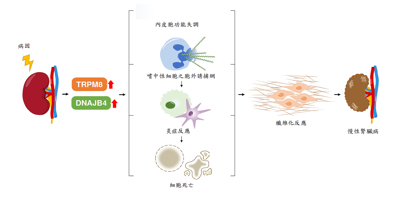 示意圖